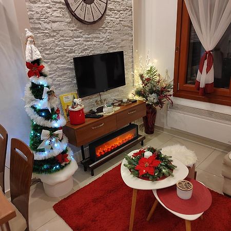 Vesna Apartman Vrnjačka Banja المظهر الخارجي الصورة