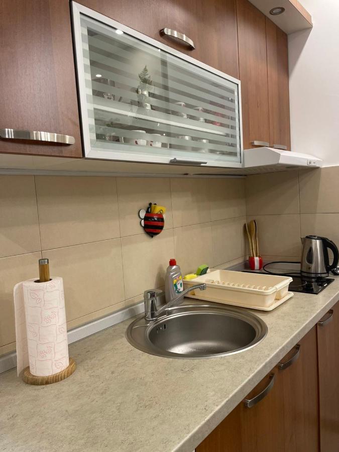 Vesna Apartman Vrnjačka Banja المظهر الخارجي الصورة
