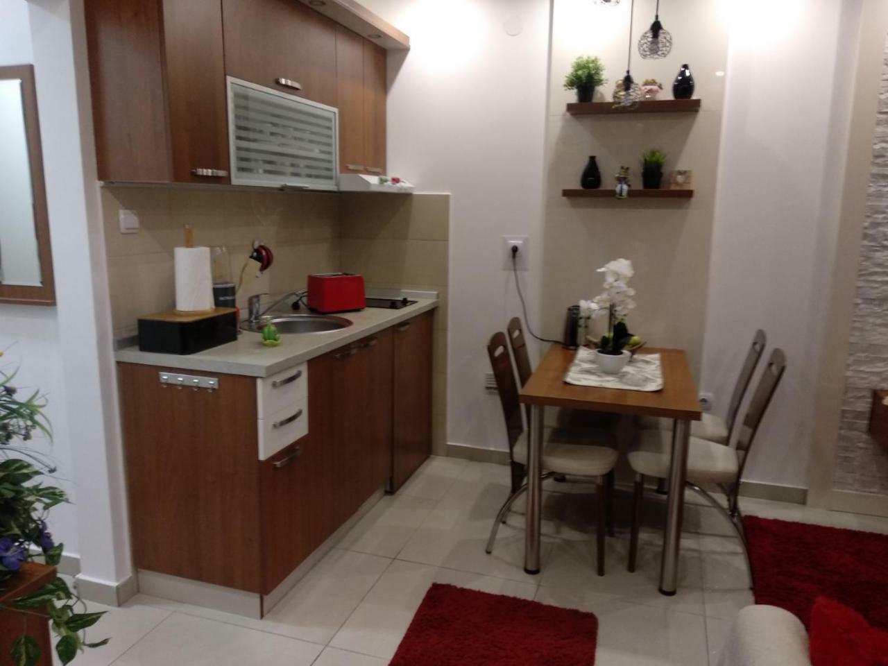 Vesna Apartman Vrnjačka Banja المظهر الخارجي الصورة